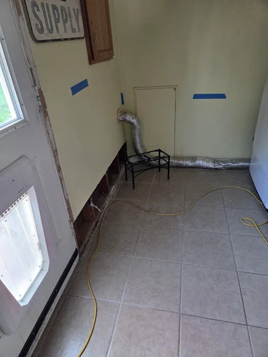 Rainbow International of Brighton Picture 7