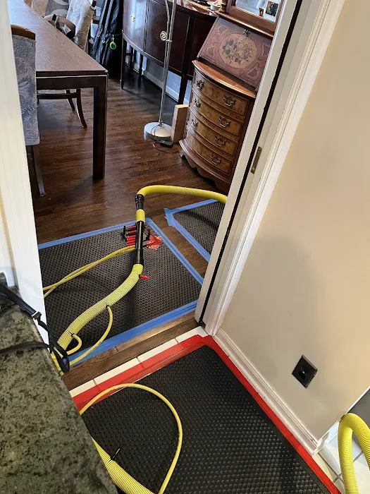 Rainbow International of Brighton Picture 8