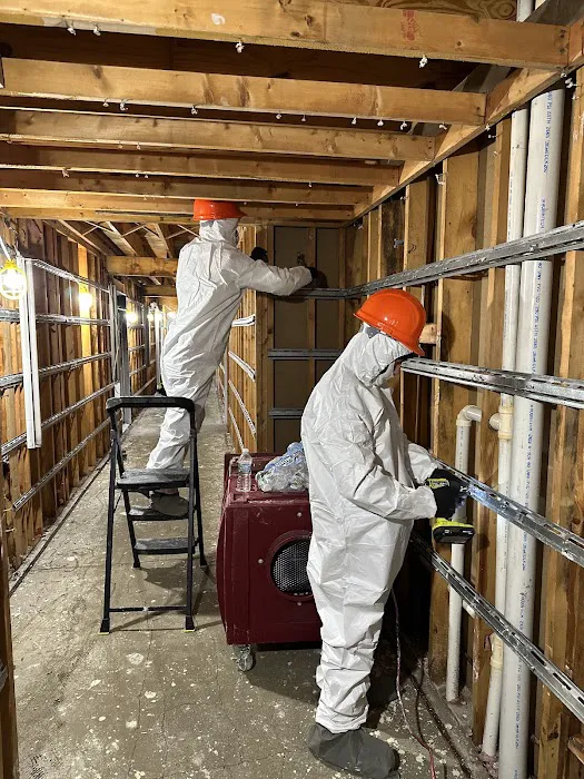 Zolman Restoration Picture 4