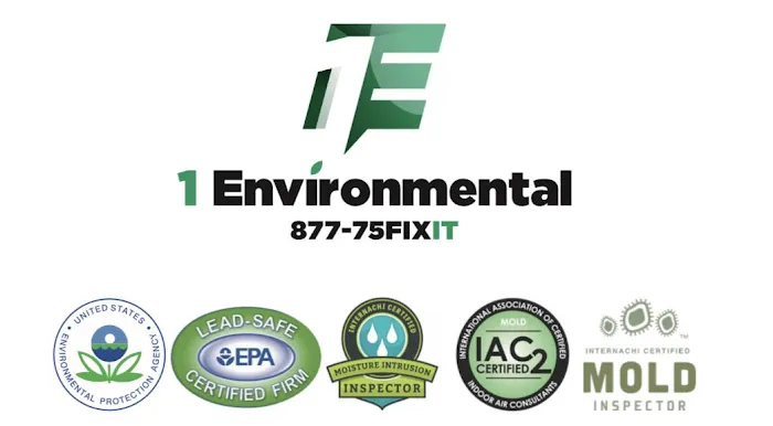 1 Environmental Picture 4