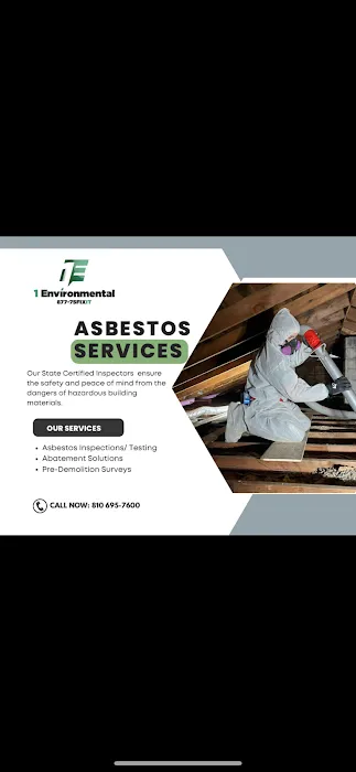 1 Environmental Picture 2