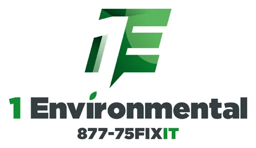 1 Environmental Picture 1