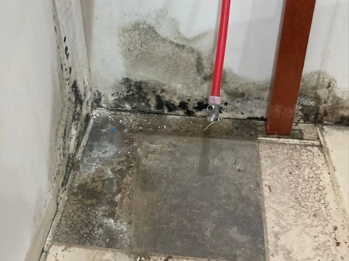 weDRY Restoration Picture 2