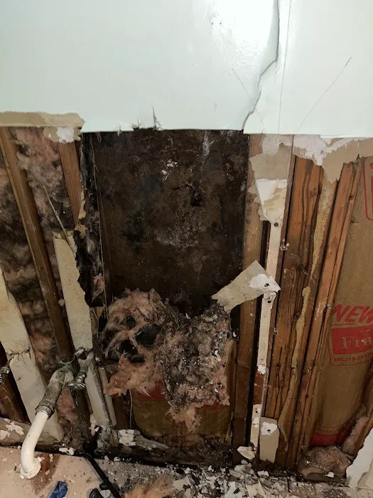 weDRY Restoration Picture 3