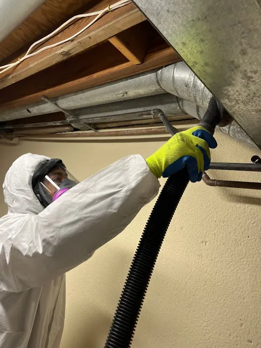 weDRY Restoration Picture 4