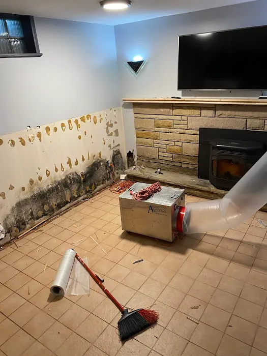 weDRY Restoration Picture 9