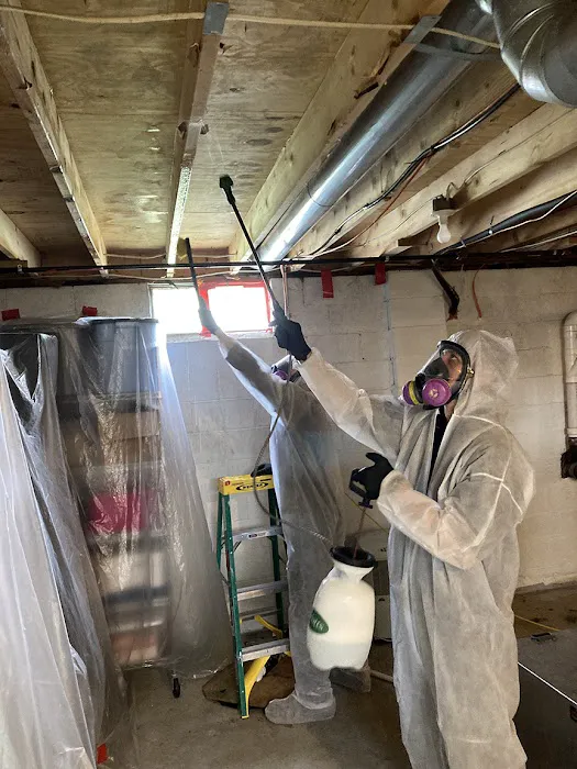 weDRY Restoration Picture 5