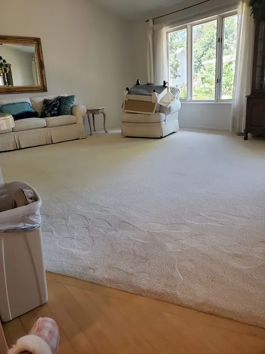 Stanley Steemer Picture 2