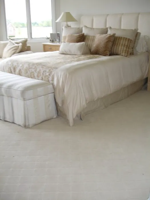 Accu-Dry Inc. Picture 1