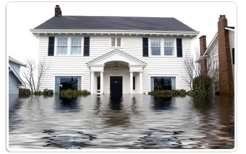 Accu-Dry Inc. Picture 10