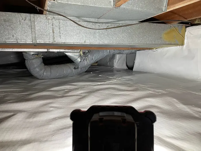 Rapid Response Restoration Picture 6