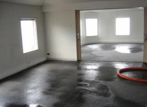 Rapid Response Restoration Picture 1