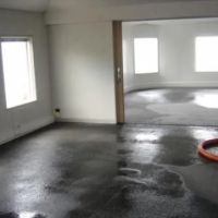 Rapid Response Restoration ico