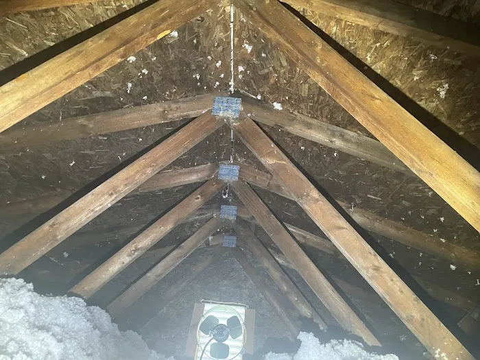 Rapid Response Restoration Picture 10