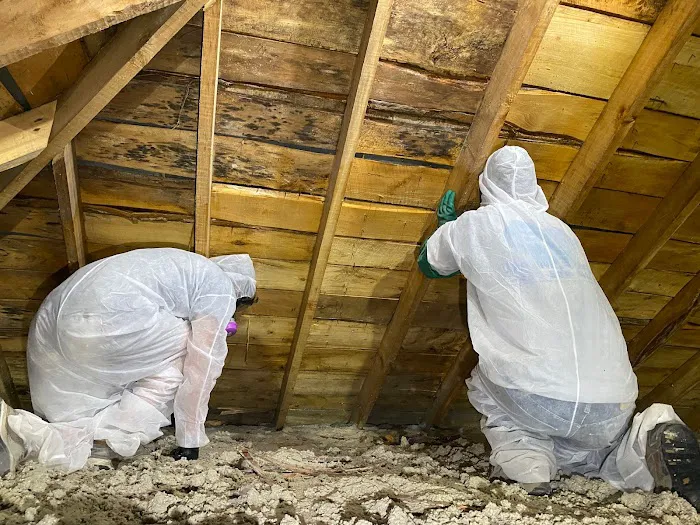 Elliot Environmental Picture 2