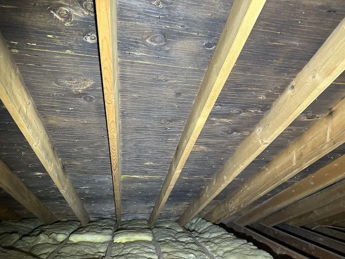 Elliot Environmental Picture 10