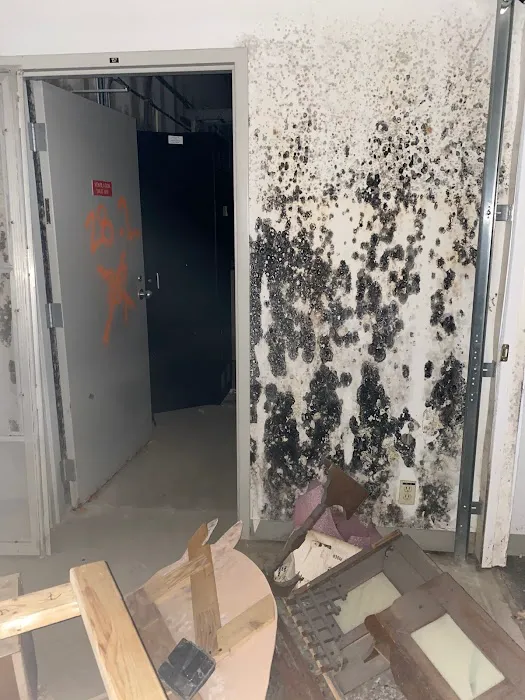 Elliot Environmental Picture 6