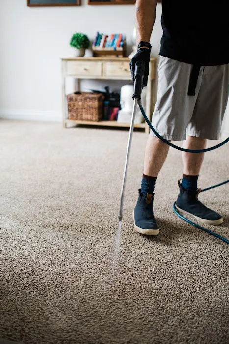 Pristine Clean and Restoration Picture 7