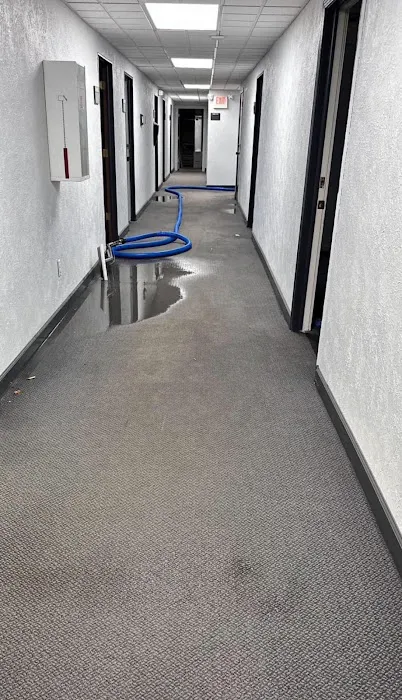 Pristine Clean and Restoration Picture 5