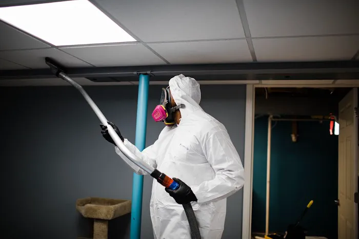 Pristine Clean and Restoration Picture 10