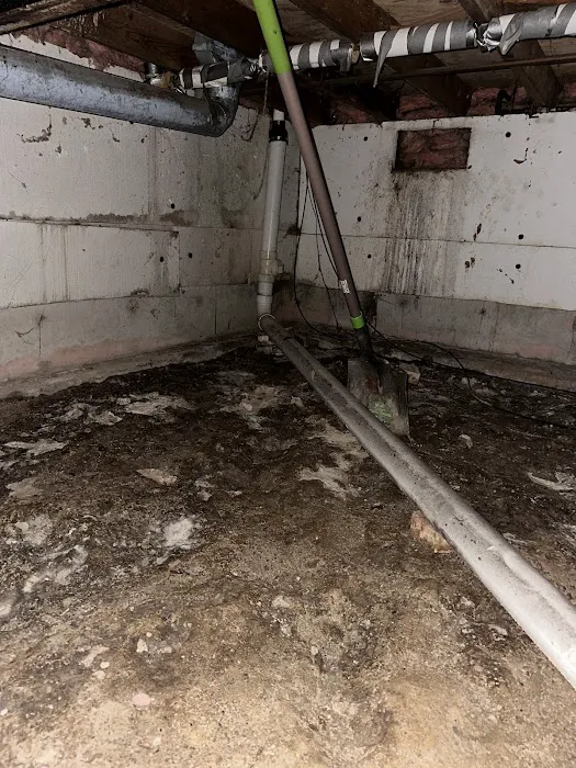 Mold Experts Of Michigan Picture 8