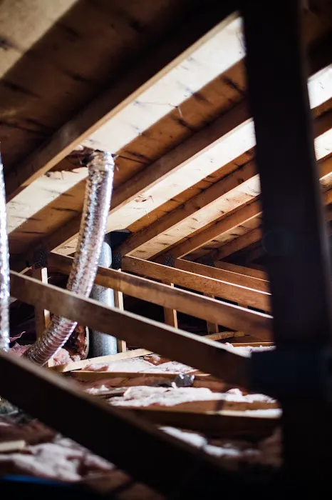 Mold Experts Of Michigan Picture 7