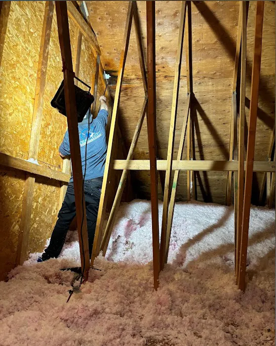 Mold Experts Of Michigan Picture 9