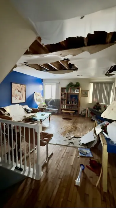 Mold Experts Of Michigan Picture 4