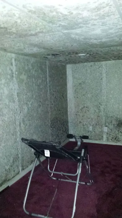 Mold Experts Of Michigan Picture 5