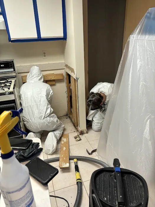 Mold Experts Of Michigan Picture 3