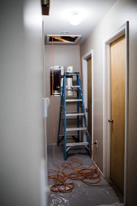 Mold Experts Of Michigan Picture 2