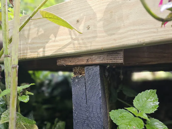 ATI Restoration Picture 8