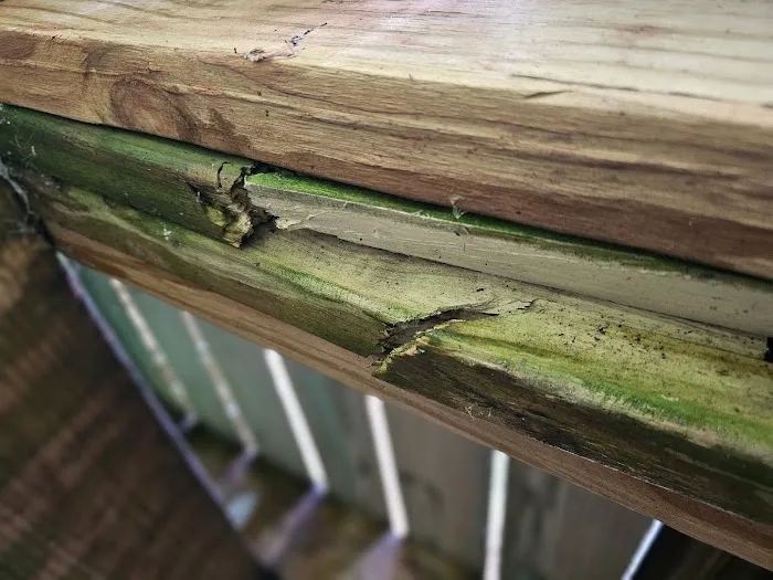 ATI Restoration Picture 6