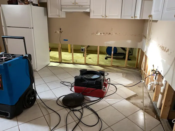 Response Flood & Fire Picture 9