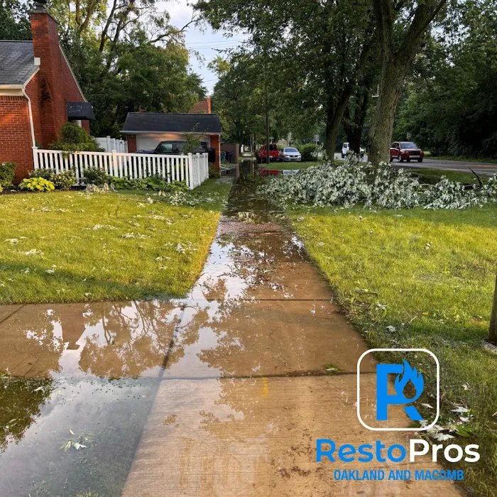 RestoPros of Oakland and Macomb Picture 2