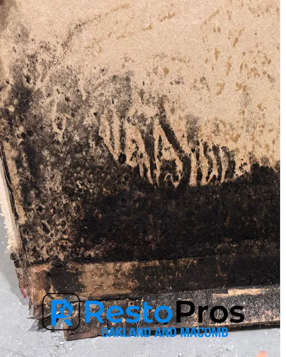 RestoPros of Oakland and Macomb Picture 9