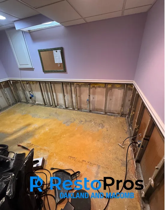 RestoPros of Oakland and Macomb Picture 1