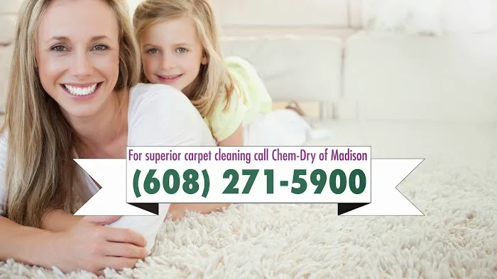 Chem-Dry of Madison Picture 1