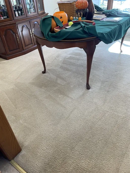 Chem-Dry of Madison Picture 7