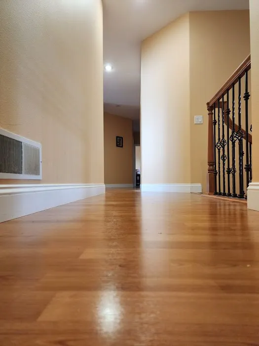 Steam Plus Cleaning and Restoration Picture 10