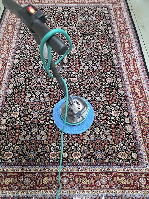 Steam Plus Cleaning and Restoration Picture 7