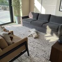 Steam Plus Cleaning and Restoration ico