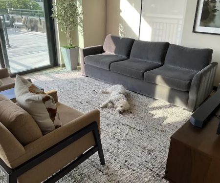 Steam Plus Cleaning and Restoration