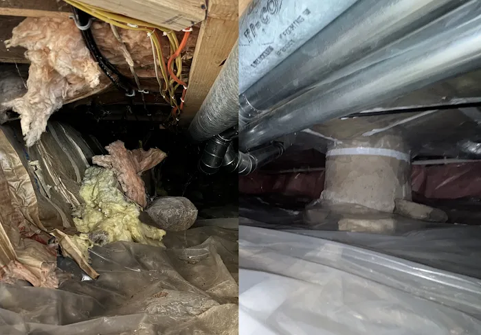 Accelerate Crisis Management Picture 10