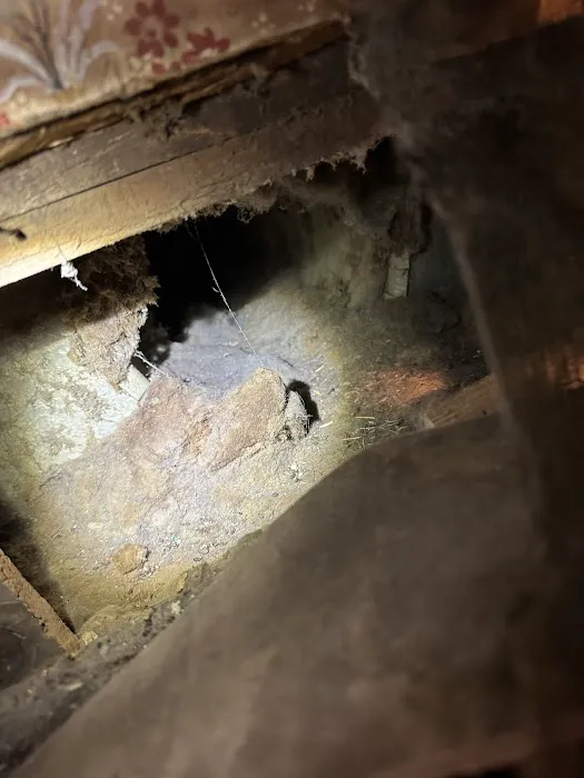 Modernistic Picture 7