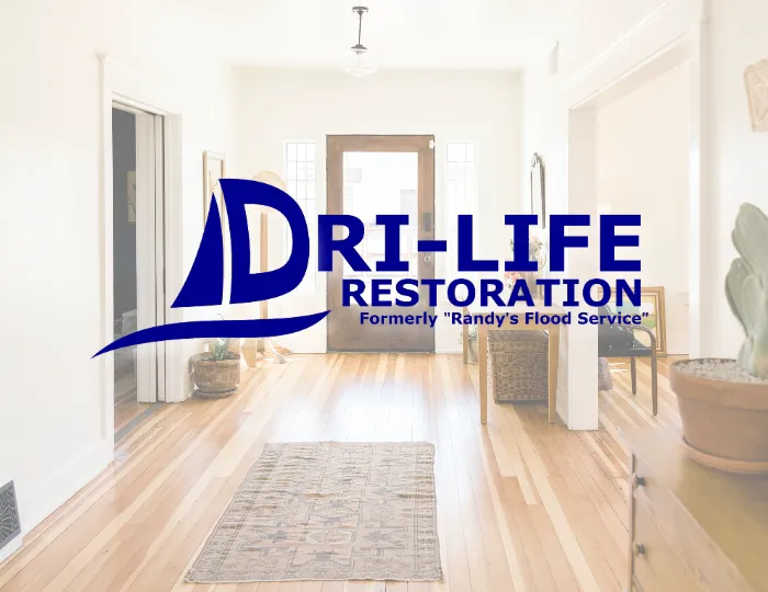 Dri-Life Restoration Picture 4