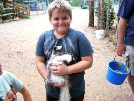 Reaction Restoration Picture 7