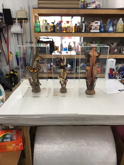 Reaction Restoration Picture 8