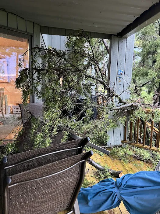 Reaction Restoration Picture 2