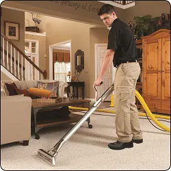 Stanley Steemer Picture 9